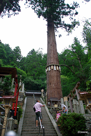 階段