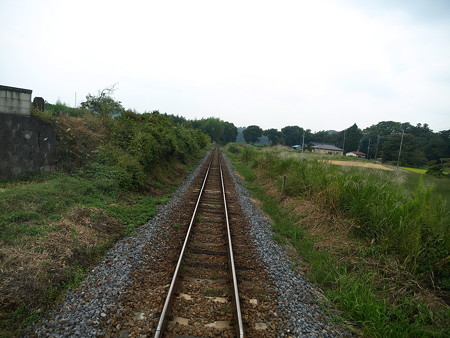 烏山線の車窓(小塙→滝)5