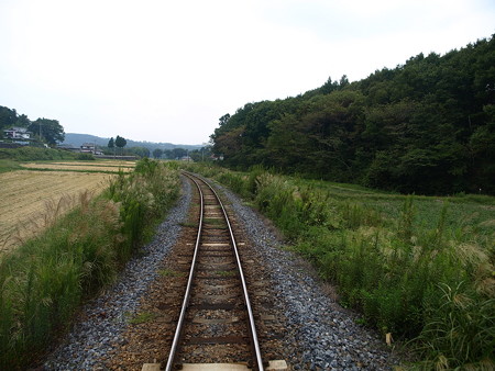 烏山線の車窓(小塙→滝)7