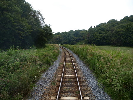 烏山線の車窓(小塙→滝)8