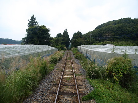 烏山線の車窓(滝→烏山)11