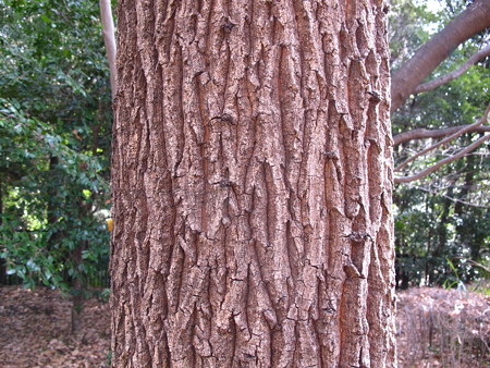 町田界隈32