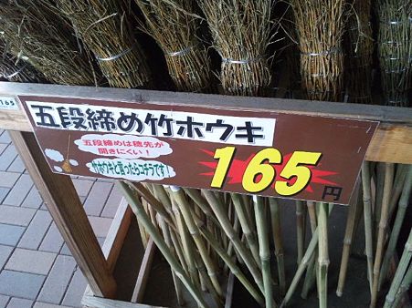 SH3I0104