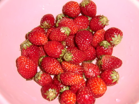 2011.4.10 昼食3