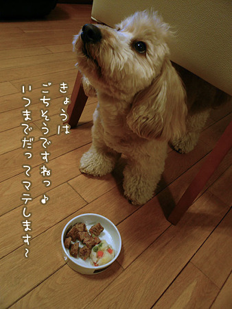 くーかい 3歳の誕生日♪ 3