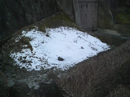 P1001137