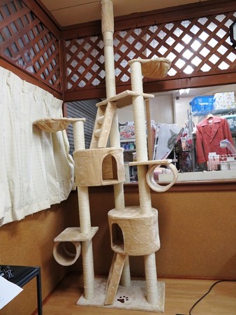 newキャットタワー