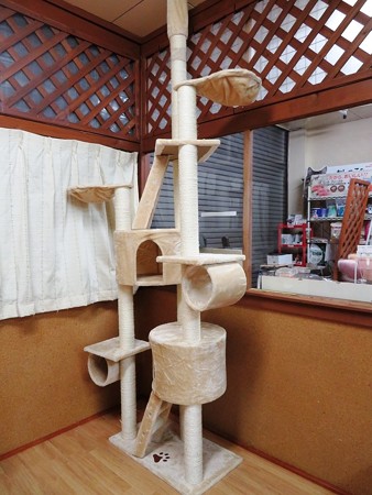newキャットタワー