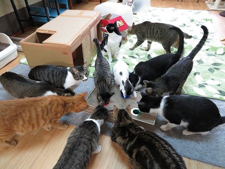 どんだけ集まってくるんだ？