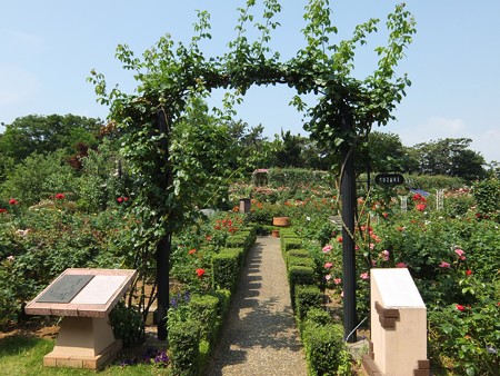 yatsurosegarden10