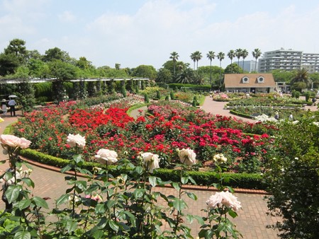 yatsurosegarden13