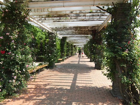 yatsurosegarden14