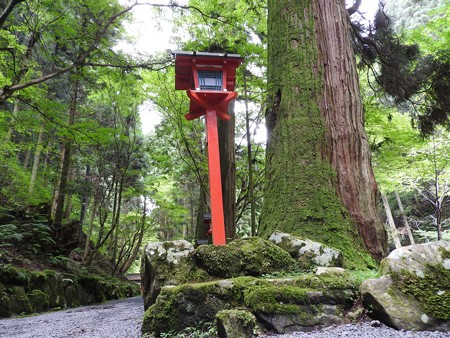 貴船神社 奥宮04 参道