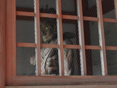 鞍馬寺56 仁王