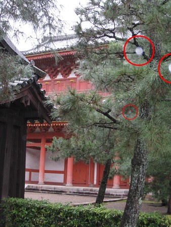2011.09 大仙院2