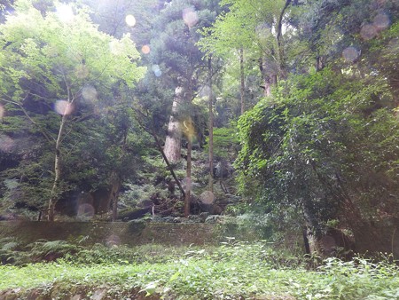 2016.7 貴船神社奥宮(元画像)