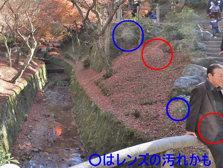 2015.12 東福寺01