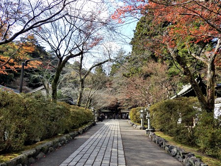 石山寺17 参道