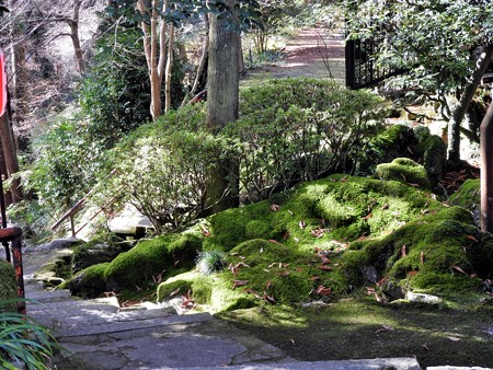 石山寺37 蓮如堂 苔生す岩