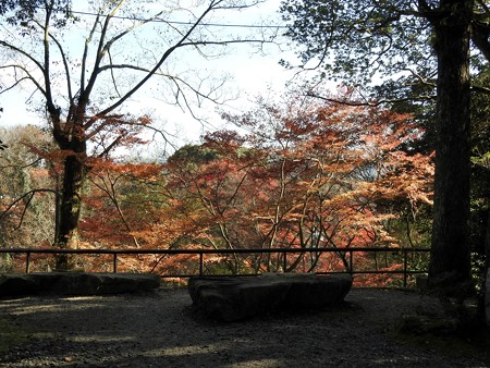 石山寺71 若宮5