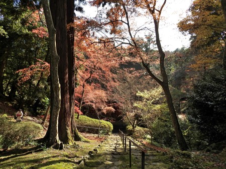 石山寺91 紅葉04