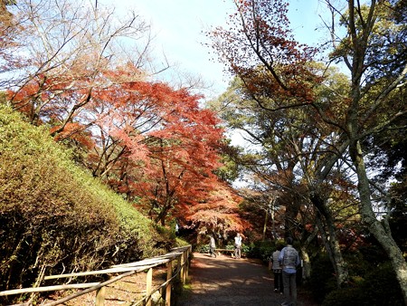 石山寺95 紅葉08