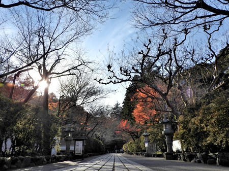 石山寺122 帰りの参道2