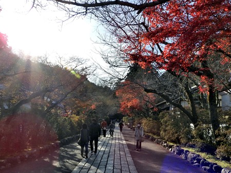 石山寺123 帰りの参道3