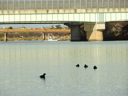 瀬田川12 1対3