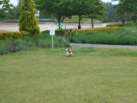 座り込み…
