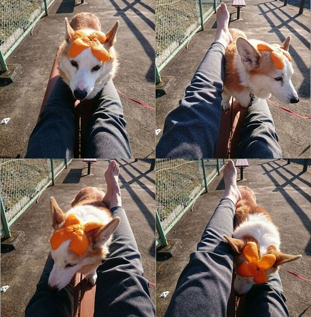 たいそう