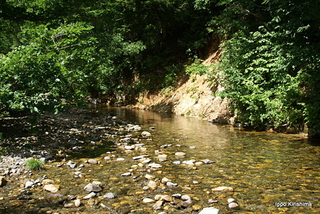 DSC05321