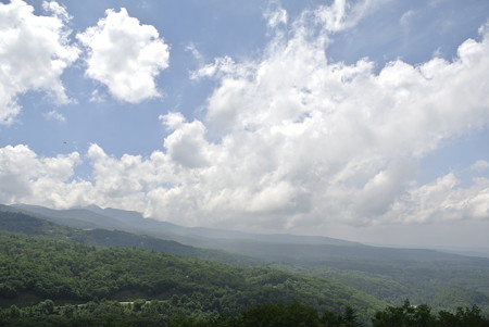 夏・八ヶ岳
