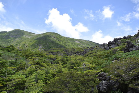 夏・八ヶ岳