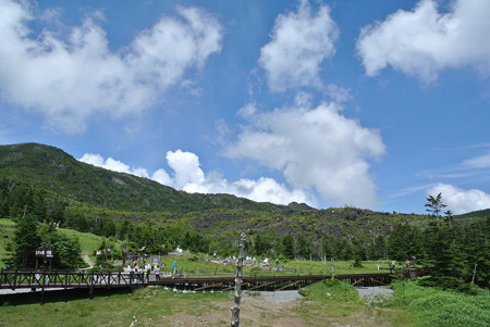 夏・八ヶ岳
