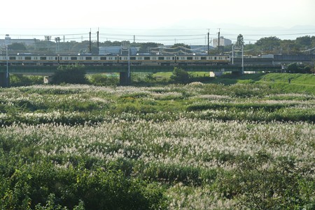 南武線武蔵野線／多摩川橋梁