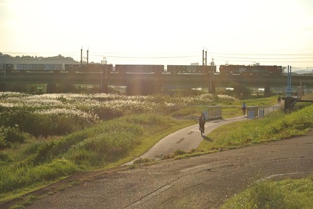 南武線武蔵野線／多摩川橋梁