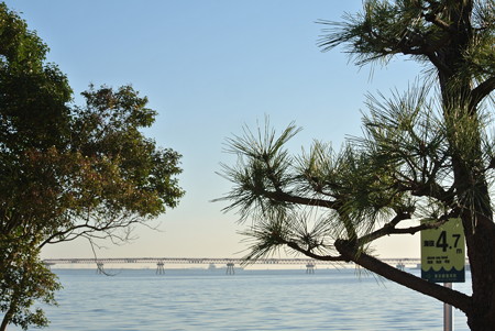 京浜島つばさ公園