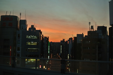 上野東京ラインからの夕景