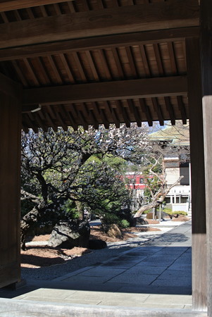 良泉寺／神奈川新町