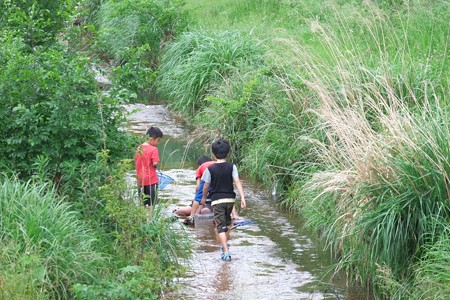 2015.05.19　和泉川　魚とり