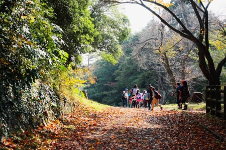 2016.11.18　大池公園　校外学習