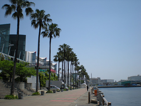 resize0088