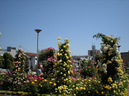 resize0120