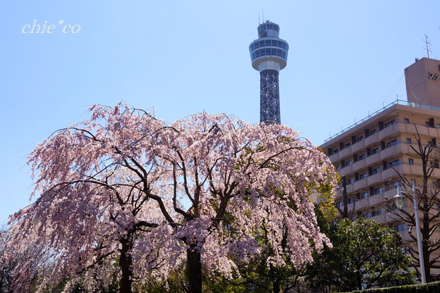 Yokohama-266