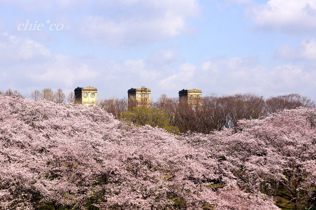 根岸森林公園-162