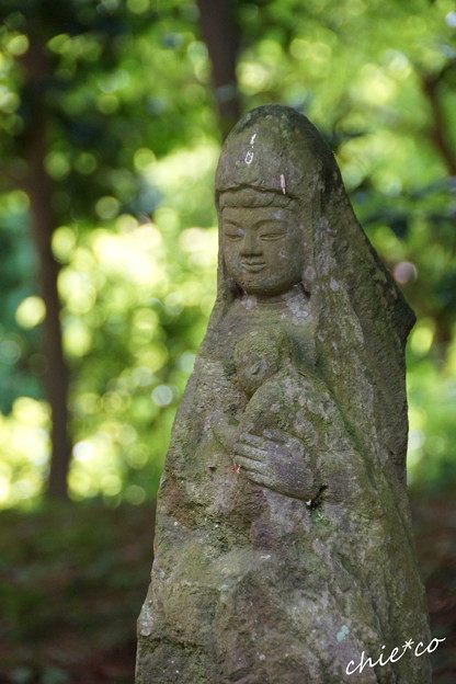 緑に染まる・・慈母観音さま