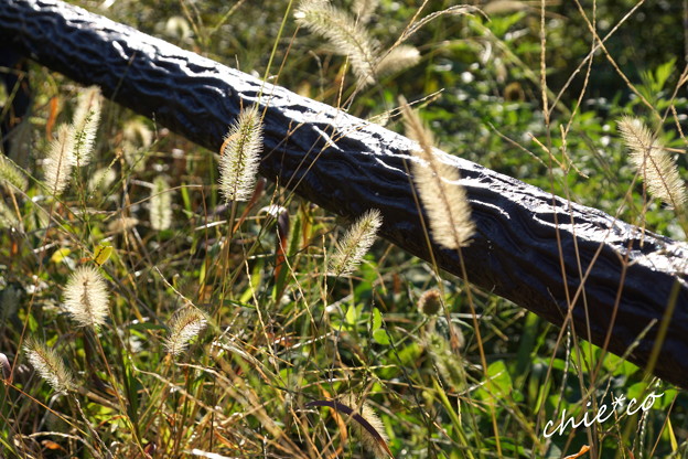 DSC09347-001