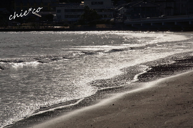 江の島-384