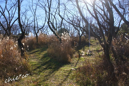 久良岐公園-123
